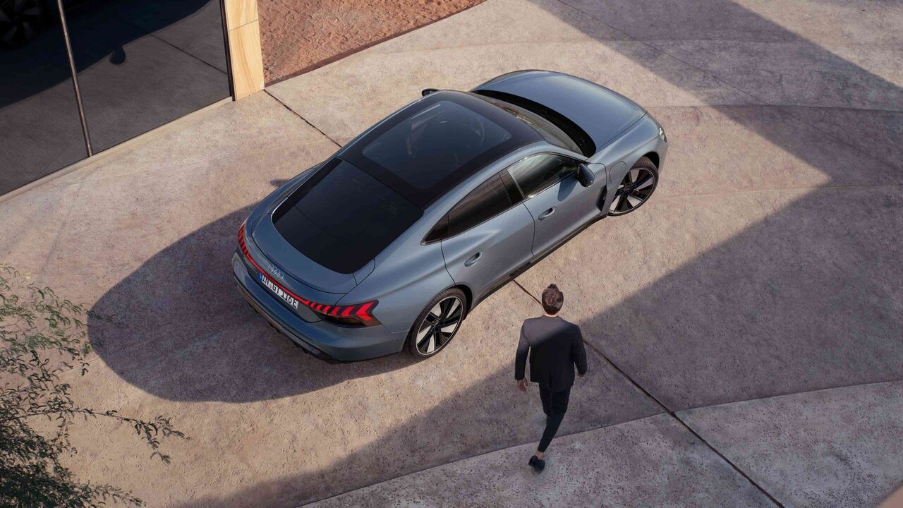 Fixed panoramic sunroof 